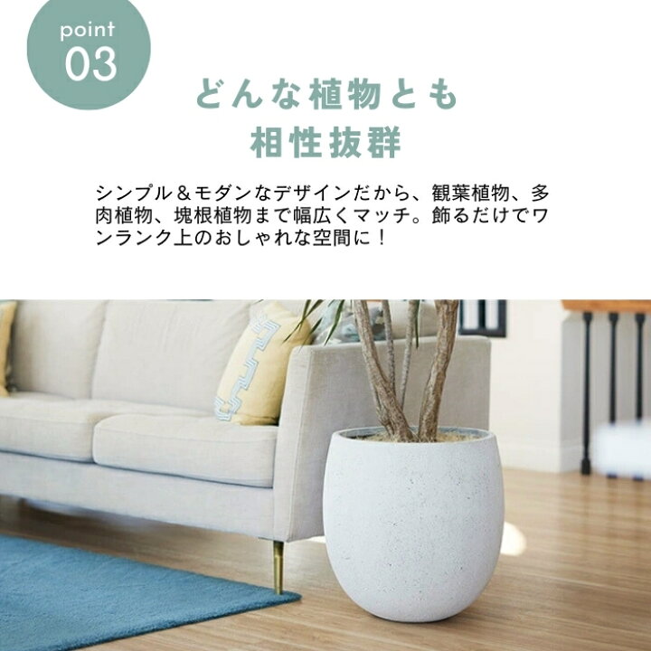 楽天市場】植木鉢 大型 おしゃれ たまご型 コンクリート エッグポット 