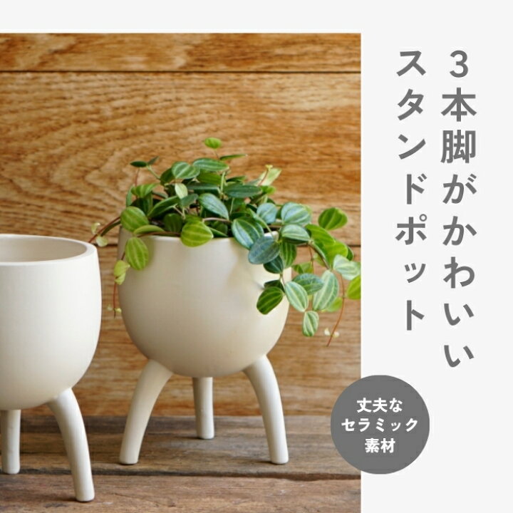 楽天市場】鉢カバー 北欧 モダン 植木鉢 おしゃれ 脚付き セラミック 陶器 室内陶器 鉢 プランター 鉢カバー おすすめ stem 底穴無し 観葉植物  インテリア 癒し リビング 移転祝い 開店祝い プレゼント夏ギフト お中元 : 花ごころ 楽天市場店 植木鉢カバープランター Tasydi おしゃれ セラミック 北欧風 インテリア観葉植物 多肉植物用プランター トレイ付き底網付き 部