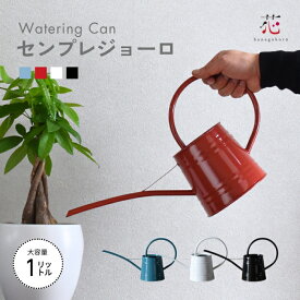 じょうろ おしゃれ ジョウロ ブリキ ミニ 大容量 水差し アンティーク センプレ 1リットル 園芸用 室内 屋外 観葉植物 ガーデニング 軽い 水撒き 散水 かわいい 小さい スリム コンパクト 加湿器 園芸用品 ジョーロ じょーろ