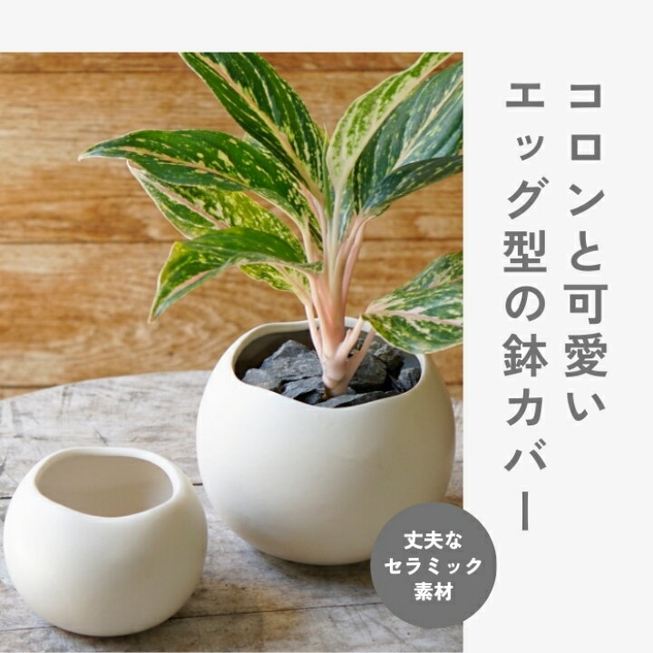 楽天市場】鉢カバー 北欧 モダン 植木鉢 おしゃれ 陶器 小さい ミニ 卵 