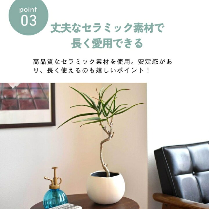 楽天市場】鉢カバー 北欧 モダン 植木鉢 おしゃれ 陶器 小さい ミニ 卵 