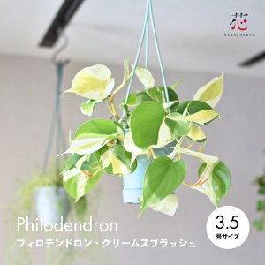 tBfh ϗtA ILVJWE N[XvbV 3.5 nMO ݂邷 ݂艺 ݂蔫 ݂邷^Cv c 鐫  O  킢   ^ 