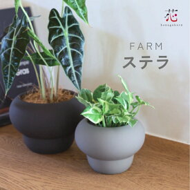 鉢カバー 小さい サイズ 軽い ステラ 3号 4号 北欧 植木鉢 おしゃれ 室内 プランター おすすめ かわいい FARM 底穴無し 観葉植物 木製 インテリア 移転祝い 開店祝い プレゼント夏ギフト お中元