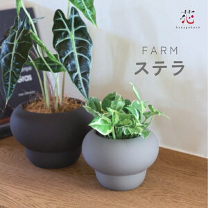 yő1000~OFFN[|yVX[p[SALEzJo[  TCY y Xe 3 4 k Aؔ   v^[  킢 FARM ꌊ ϗtA ؐ CeA 