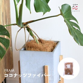 観葉植物 土隠し ココファイバー （50g、100g、500g） ココナッツファイバー 天然 おしゃれ 鉢底石 乾燥防止 雑草対策 園芸 ガーデニング カバーストーン 植え替え マルチング 植木鉢 ポット 化粧石夏ギフト お中元
