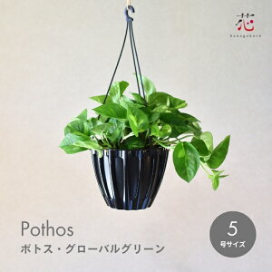 yԌP10{IzϗtA ݂艺 Ǌ| |gX O[oO[ 5 󉪉|  ݂蔫 nMO ݂邷 ݂邷^Cv nChJ`[ ł͂Ȃ c 鐫  O 