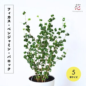 xW~ obN 5 ϗtA tBJX 邭 ^  킢    CeA j Mtg    JƏj JXj  k   f