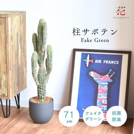 サボテン フェイクグリーン 柱サボテン 鉢 付き 大型 リアル 大きめ ポット おしゃれ 観葉植物 デスク 鉢 陶器 人工観葉植物 お祝い セット 造花 インテリア 風水 小型 北欧 植木鉢 玄関