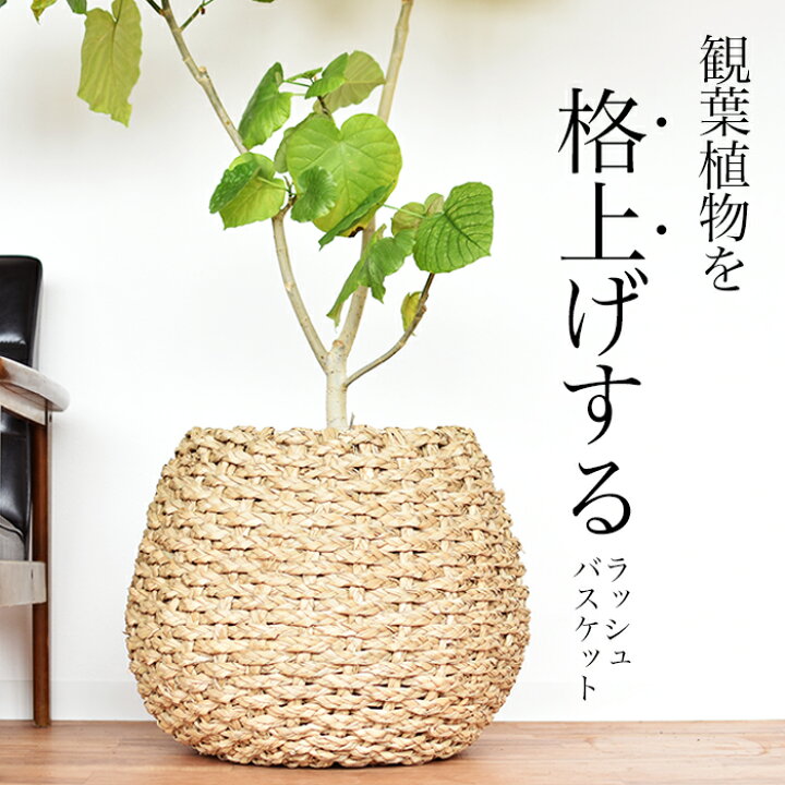 楽天市場】鉢カバー 北欧 10号 8号 大型 植木鉢 おしゃれ 軽い 鉢 