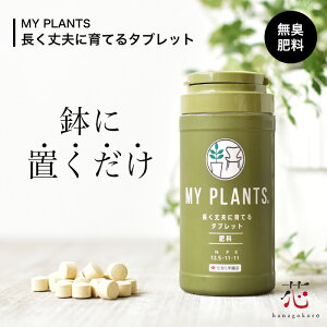 観葉植物 肥料 鉢に置くだけ 活力剤 錠剤 約170錠 おすすめ 固形 虫がわかない MY PLANTS 長く丈夫に育てるタブレット 室内用 栄養 固形肥料 初心者 おしゃれ 栄養剤 園芸 多肉植物 塊根植物 住