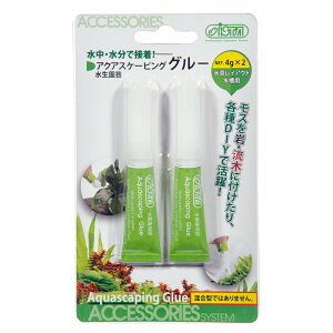 AY[@ANAXP[sOO[@4g×2{@p@X@؁@΁@ڒ