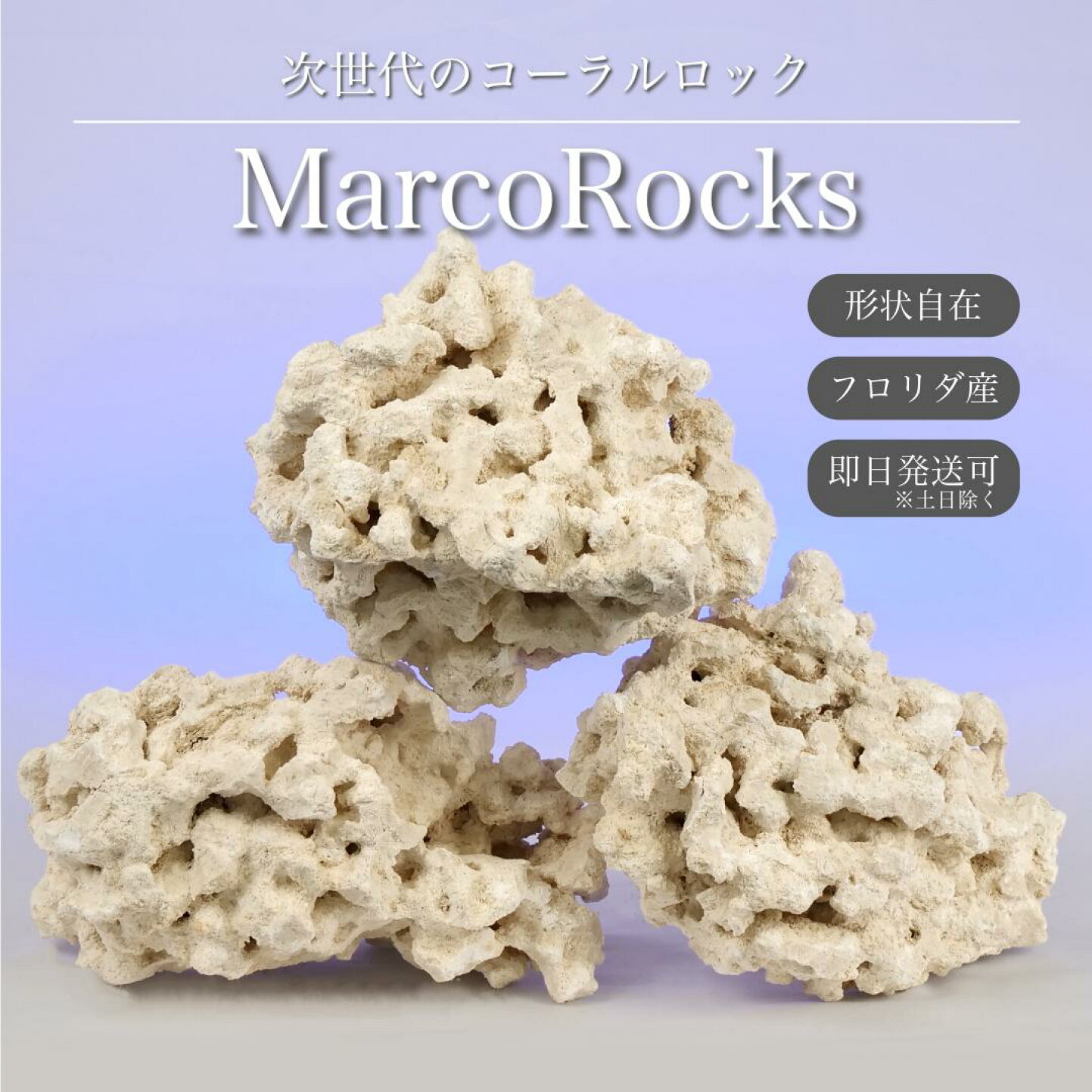 楽天市場 | plantstech楽天市場店 - マルコロックをはじめ、各種リーフ 