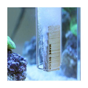 }fUC@}EbhXg[imame@wood|stonej