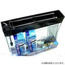 楽天市場】上部フィルター 180の通販
