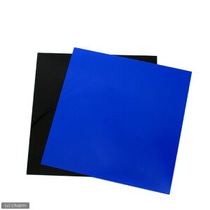 RG|30p@vȉrobNXN[@28D3×27D5cm@@XJCu[