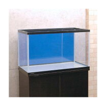 楽天市場】アクリル水槽 60cmの通販