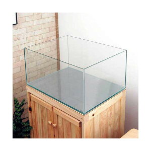 GLASIA@tbg@GL|600WFi60×45×30cmji5mmj@NAVR^CviṔj