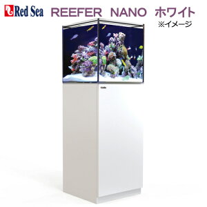 I[o[t[@bhV[@REEFER@NANO@zCg@3@45cm