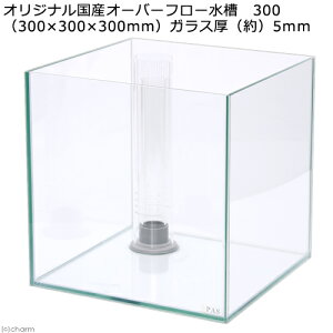 I[o[t[@N~X30i30×30×30cmj@30cm@L[u