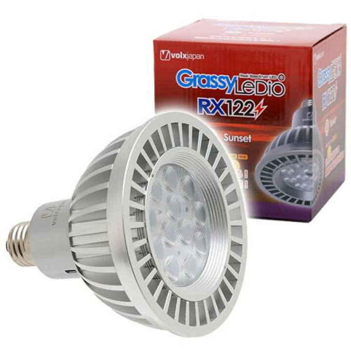 楽天市場】ボルクスジャパン Grassy LeDio RX122 