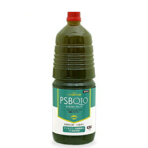 PSBQ10@s[GXr[L[g@Cp@1D8Li^EƖpj@׋ہ@oNeA@C@TS
