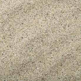 未洗浄　サンゴ砂　パウダー（＃0）　1L　海水水槽用底砂