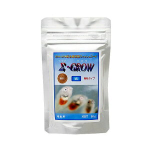 VO}@OE@Ai^Cvj@50g@C̒t@C@a@t[h@nD