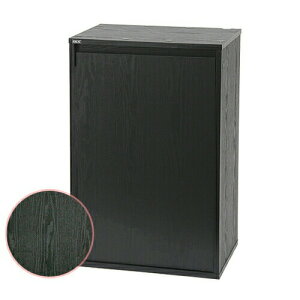 @GEX@ANAbN@Ebh@450BK@45cm