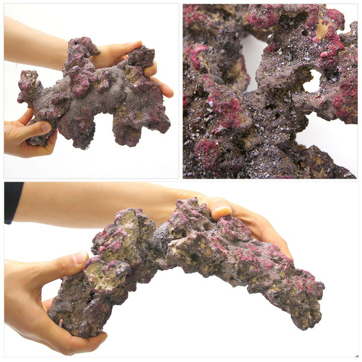 楽天市場】カミハタ カリブシー ライフロック アーチ 9．0kg 