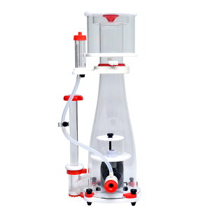 [XC@veCXL}[@Genesis@DC500