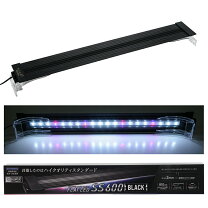 楽天市場】コトブキ フラットled ss900 ブラックの通販