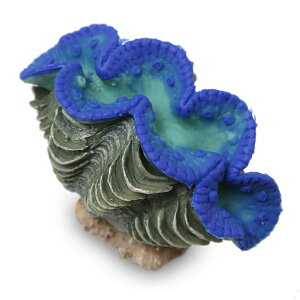 [XC@ZEST@vJTS@S|10@Cu[