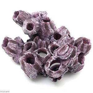 [XC@ZEST@vJTS@M|5@p[vzCg