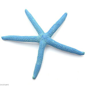 [XC@ZEST@vJTS@M|6@XJCu[