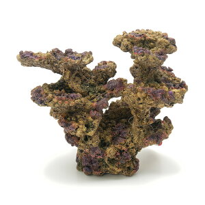 [XC@ZEST@vJTS@L|3@X|bgbh