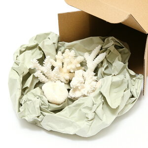 TSELk@STCYi5Zbgj@i`󂨔Cj