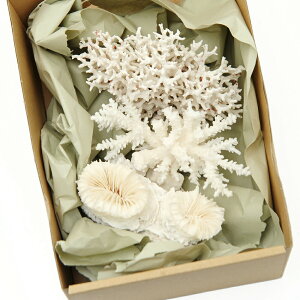 TSELk@LTCYi3Zbgj@i`󂨔Cj