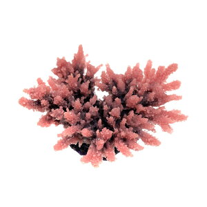 LSS@vJTS@X[R[@TR|mini7@P