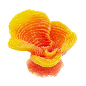 LSS@vJTS@X[R[@TR|mini15@O