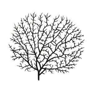 LSS@vJTS@V[t@@TR|1@B