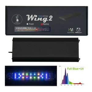 {NXWp@Grassy@Wing2@30@Marine^}