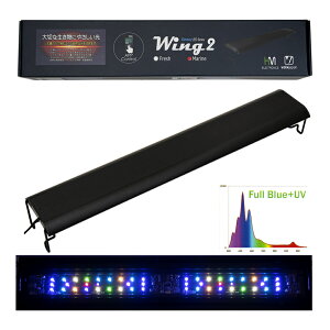 {NXWp@Grassy@Wing2@60@Marine^}