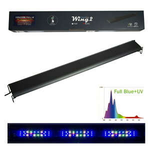 {NXWp@Grassy@Wing2@90@Marine^}