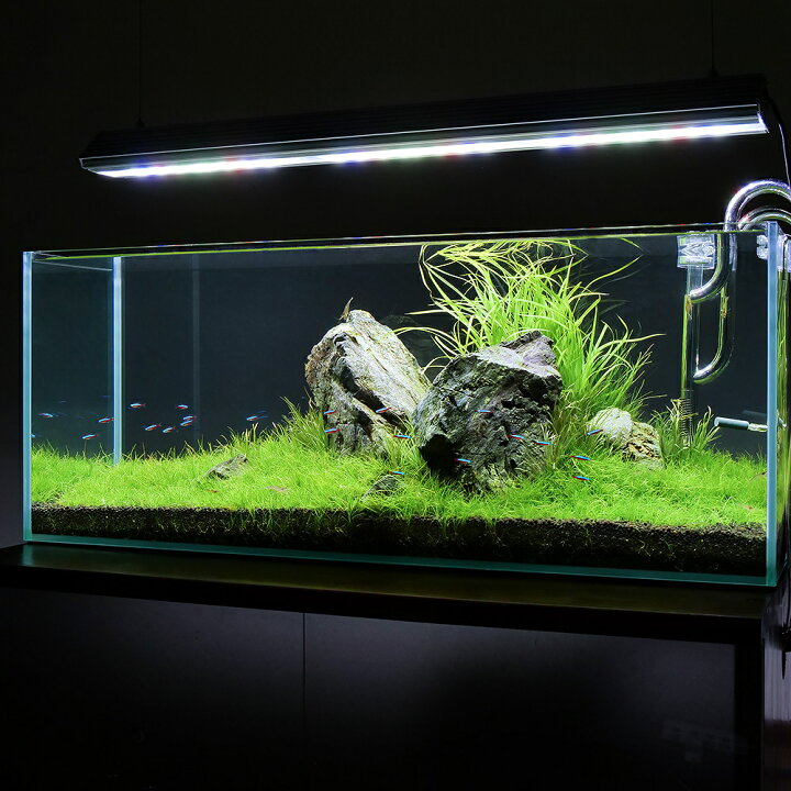 楽天市場】ガラス水槽 アクロ90スリム 90×30×36cm 180 