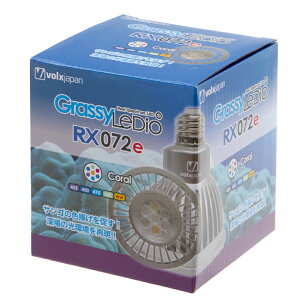 {NXWp@Grassy@LeDio@RX072e@Coral@@Cg@Ɩ