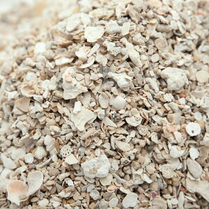 Đς݁@CDPDFarm@R[VF@1kgi0D8Lj@JVEAN^[p@Cpꍻ