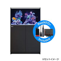 楽天市場】red sea reefer nanoの通販