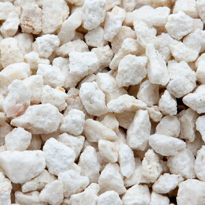 ς݁@CDPDFarm@fossil@coral@΃TSfBA@STCY@3kgi1kg×3j@JVEAN^[p