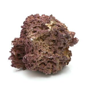 WVbN[tbN@CubN@Li1`2D5kgj@1@`󂨔C@oNeAt