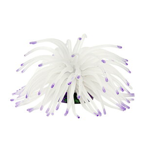 [XC@ZEST@vJTS@M|10@zCgp[v